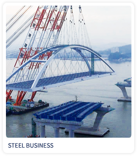 Steel Business